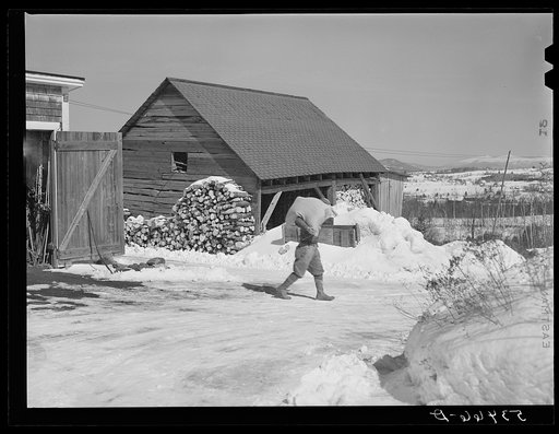 Untitled photo, possibly related to: Mr. Dickerson carrying sack of feed into shed on his farm. Lisbon, near Franconia, New Hampshire