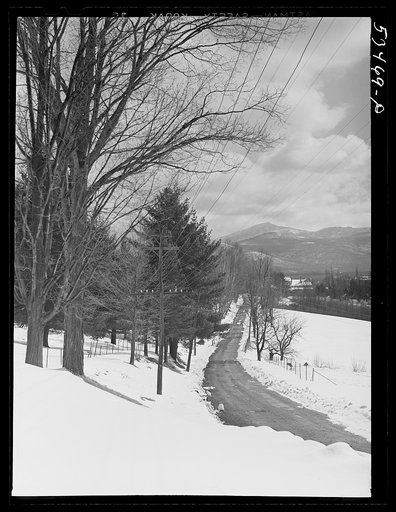 Road going from Minot's farm on Sugar Hill toward Franconia, New Hampshire, with White Mountains in the distance