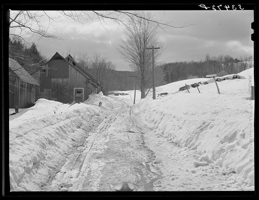 Spring thaw on road leading up to Frank Shurtleff's maple sugar house. North Bridgewater, Vermont