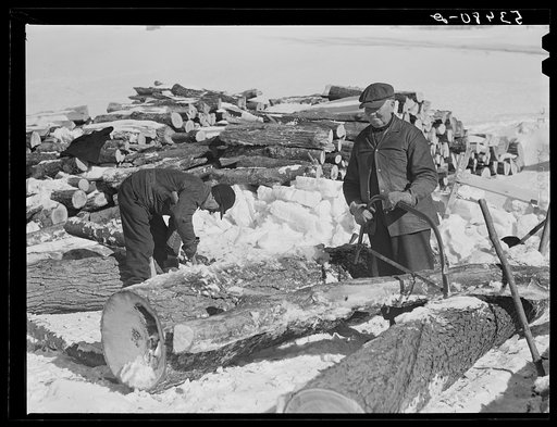Farmers sawing wood for winter fuel. Near Littleton, New Hampshire