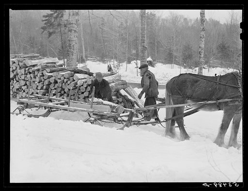 Farmer unloading logs for winter fuel near Littleton, New Hampshire