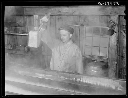 Walter N. Gaylord dripping the boiled-down maple syrup sap to see if it has reached correct consistency for syrup. Making maple syrup on King evaporator. Waitsfield, Mad River Valley, Vermont. He averages about 150 gallons of syrup annually, this year he tapped 600 out of his 1000 trees because of a