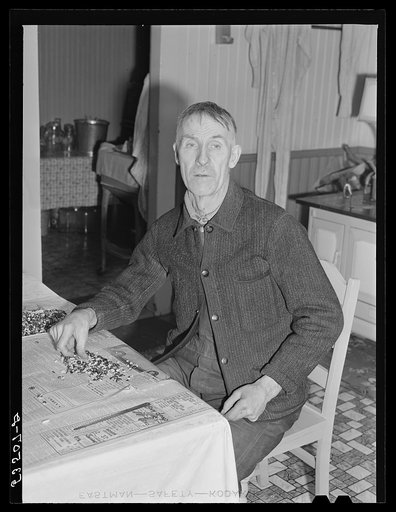 Farmer near Lisbon, New Hampshire, sorting beans for spring planting on rainy day