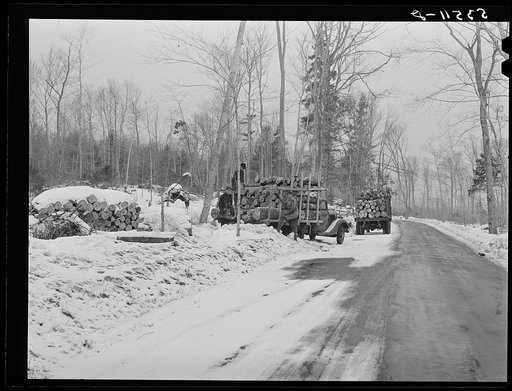 Hauling wood to go to paper mills. Near Littleton, New Hampshire