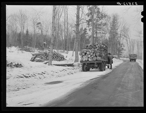 Hauling wood to go to paper mills. Near Littleton, New Hampshire
