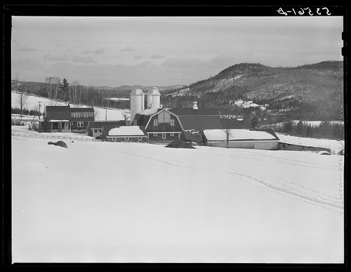 Iris dairy farm and drift fence near Franconia, New Hampshire