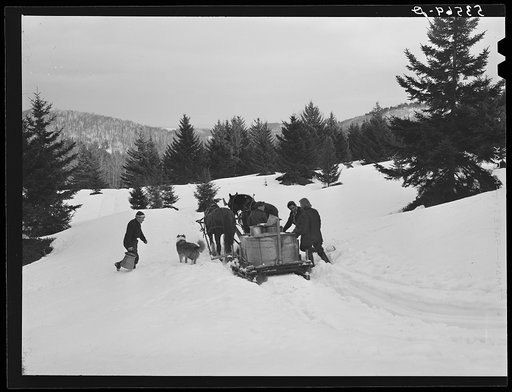 Horse-drawn sled with vat of sap from maple sugar trees, which is boiled down to maple syrup. Frank Shurtleff farm, North Bridgewater, Vermont