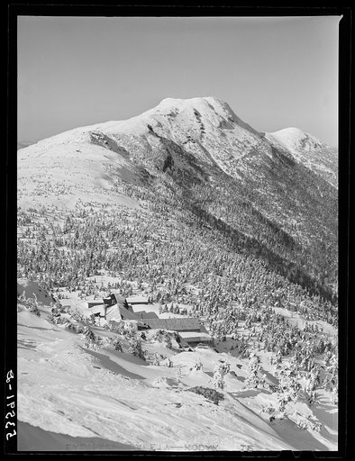 Farm land and timber near Bridgewater, Vermont