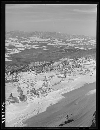 Untitled photo, possibly related to: Farm land and timber near Bridgewater, Vermont