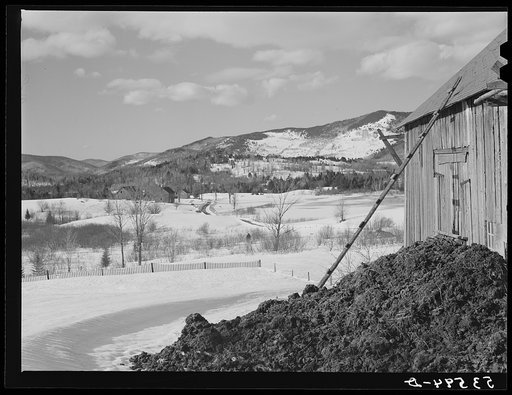 Untitled photo, possibly related to: Poor farm near Berlin, New Hampshire