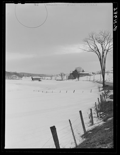Untitled photo, possibly related to: Farmhouse and milk cans near Saint Johnsbury, Vermont