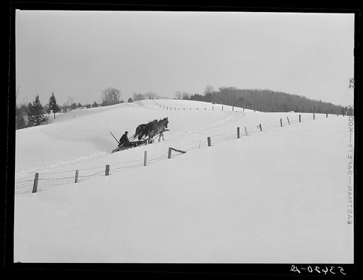 Hired man on farm near Waterbury, Vermont going to haul logs with sled and team