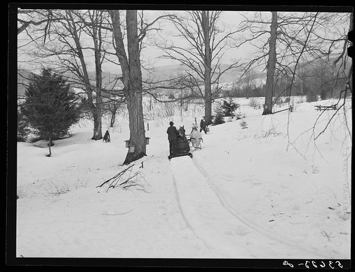 Gathering sap for maple syrup on Walter Gaylord's farm. Waitsfield, Mad River Valley, Vermont. Mr. Gaylord raises sheep, cows, cuts lumber and has been making maple syrup for about thirty five years. Sugaring brings in about one thousand dollars annually. Because of the deep snow this year he only t