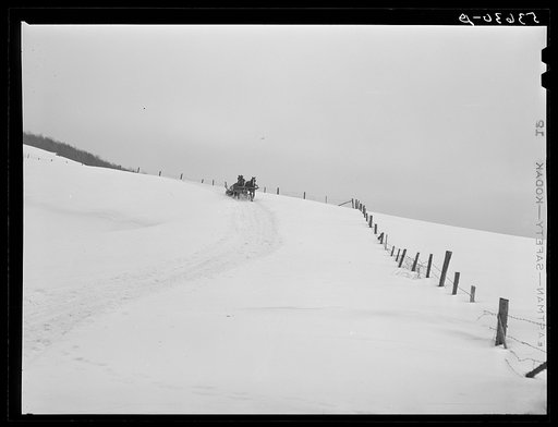 Untitled photo, possibly related to: Hired man on farm near Waterbury, Vermont, going to haul logs with sled and team