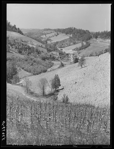 Farmland in northeastern Tennessee