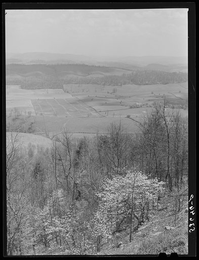 The fertile Shenandoah in the spring. Virginia