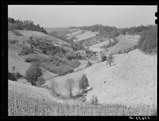 Farmland in northern Tennessee