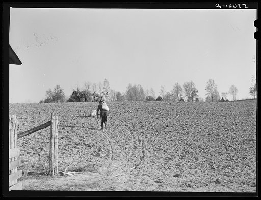 Spring planting, Shenandoah Valley, Virginia