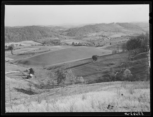 The fertile Shenandoah in the spring. Virginia