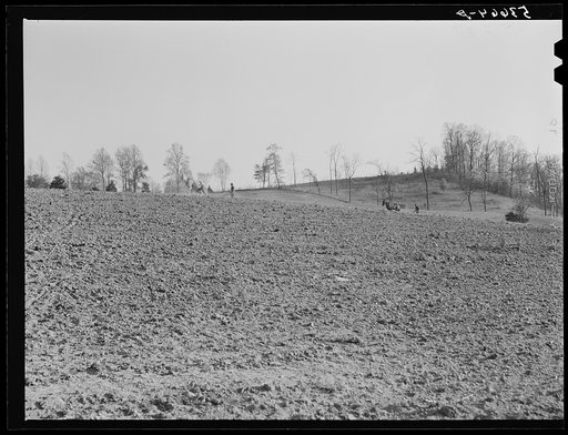 Spring planting, Shenandoah Valley, Virginia
