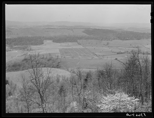 The fertile Shenandoah in the spring. Virginia