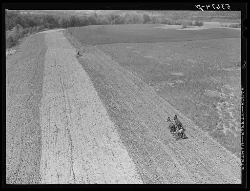 Planting corn along river in northeastern Tennessee