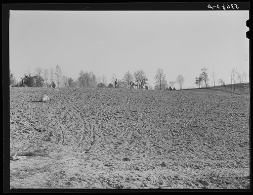Untitled photo, possibly related to: The fertile Shenandoah in the spring. Virginia