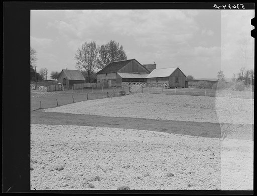 Untitled photo, possibly related to: The fertile Shenandoah in the spring. Virginia