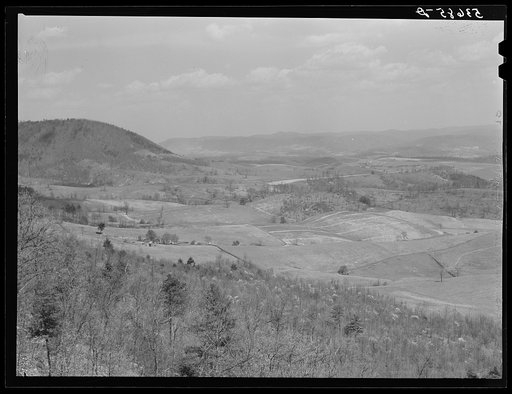 The fertile Shenandoah in the spring. Virginia