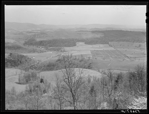 Untitled photo, possibly related to: The fertile Shenandoah in the spring. Virginia