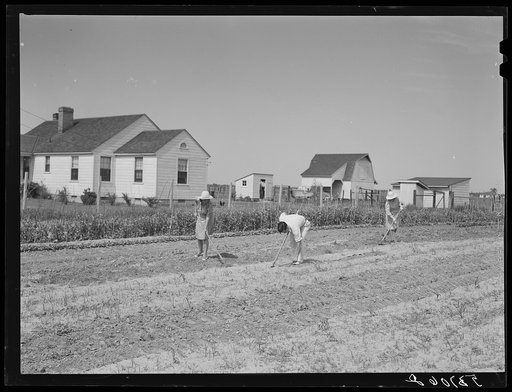 Mrs. Fay Melvee and family working in their garden. Plum Bayou Project, Arkansas. (See general caption)