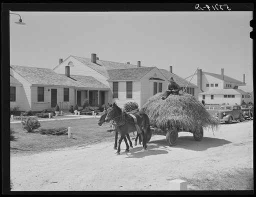 Lloyd Young, FSA (Farm Security Administration) client, hauling load of hay past the office and Community building of Plum Bayou Project, Arkansas (see general caption)