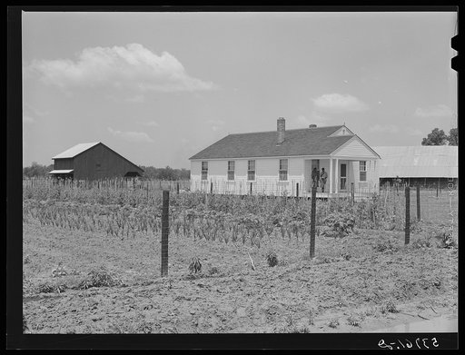 FSA (Farm Security Administration) client's home, barn and garden. La Delta Project, Louisiana