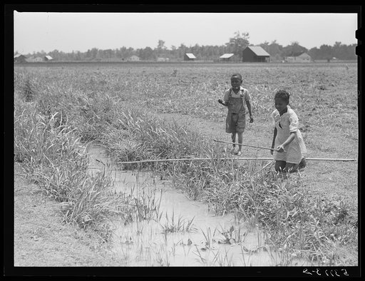 Untitled photo, possibly related to: Negro children fishing in ditch. La Delta Project, Louisiana
