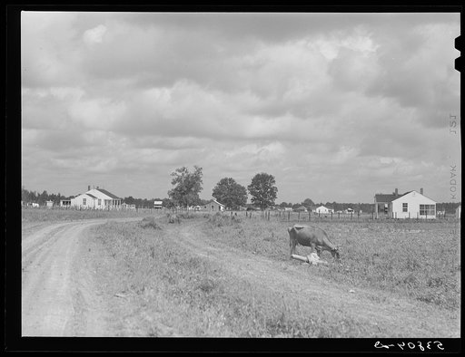 New homes on La Delta project. Thomastown, Louisiana