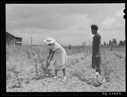 Untitled photo, possibly related to: Rachel D. Moore, home management supervisor, giving demonstration in dusting plants from insects to Caldoria Smith. Louisiana Delta Project, Thomastown, Louisiana