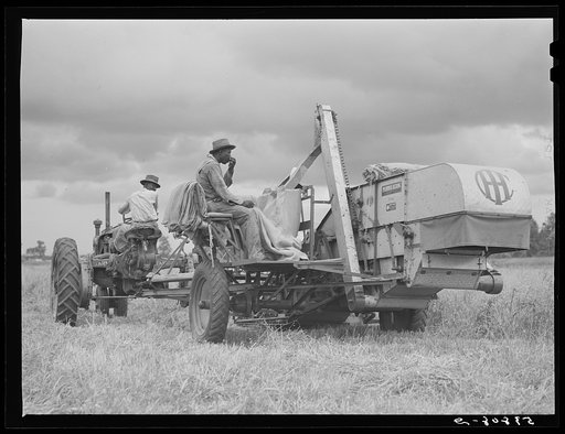 Untitled photo, possibly related to: Willy Roberts, county supervisor, inspecting new co-op combine purchased through FSA (Farm Security Administration) to harvest crops of low income farmers and other FSA borrowers. He is demonstrating in his own oat field. Oak Grove, West Carroll Parish, Louisiana