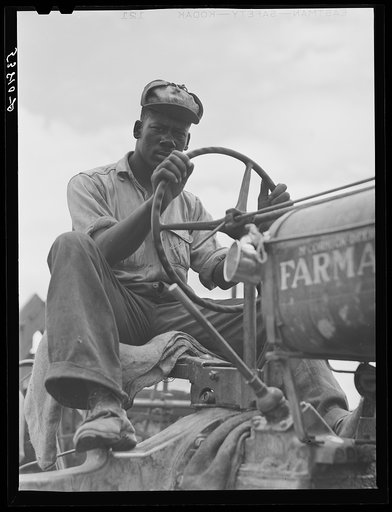 Driver of combine threshing oats on La Delta Project. Thomastown, Louisiana