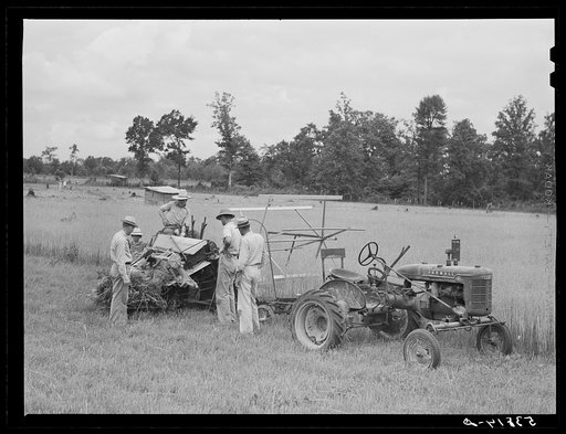 Willy Roberts, county supervisor, examining co-op binder purchased by J.M. Womack, FSA (Farm Security Administration) borrower who is harvesting oats for Robert J. Waller, another FSA borrower. Oak Grove, West Carroll Parish, Louisiana