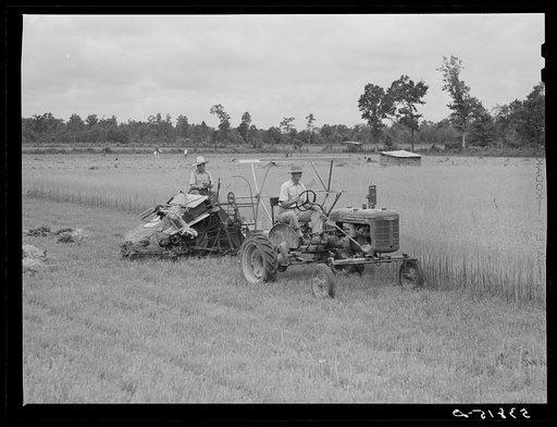 Untitled photo, possibly related to: Willy Roberts, county supervisor, examining co-op binder purchased by J.M. Womack, FSA (Farm Security Administration) borrower who is harvesting oats for Robert J. Waller, another FSA borrower. Oak Grove, West Carroll Parish, Louisiana