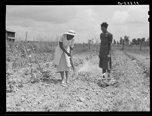 Rachel D. Moore, home management supervisor, giving demonstration in dusting plants from insects to Caldoria Smith. Louisiana Delta Project, Thomastown, Louisiana