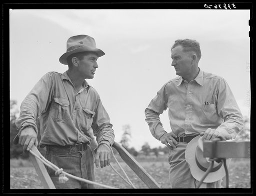 Parish FSA (Farm Security Administration) supervisor Willis R. Roberts talking and discussing farm problems with brother-in-law of Pleas W. Rodden, rural rehabilitation borrower, who had been cultivating his cotton. West Carroll Parish, Louisiana