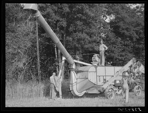 Untitled photo, possibly related to: Cooperative oat thrasher, purchased by E.H. Lester through FSA (Farm Security Administration) community co-op service loan. West Carroll Parish, Louisiana