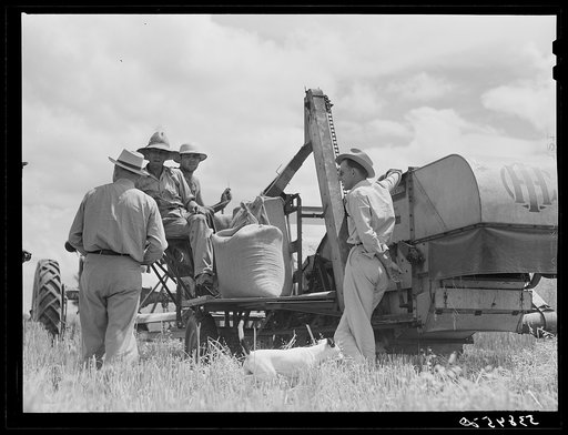 Untitled photo, possibly related to: Willie R. Roberts, parish supervisor, talking with Otis Coody about his cooperative combine purchased through FSA (Farm Security Administration) to harvest crops of low income farmers and FSA borrowers in West Carroll Parish, Louisiana