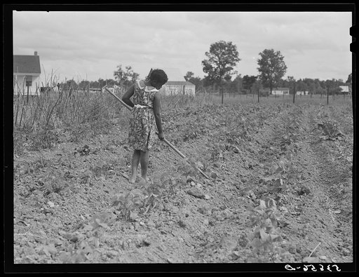 Tom Scott's daughter working in their garden by their home at La Delta Project. Thomastown, Louisiana