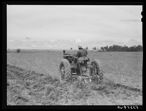 Oliver Kinsbrough discing land with tractor on La Delta Project. Thomastown, Louisiana