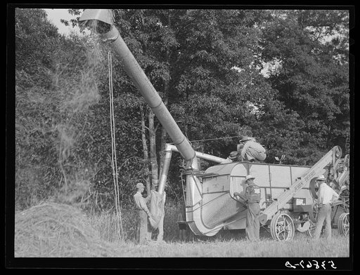Cooperative oat thrasher, purchased by E.H. Lester through FSA (Farm Security Administration) community co-op service loan. West Carroll Parish, Louisiana