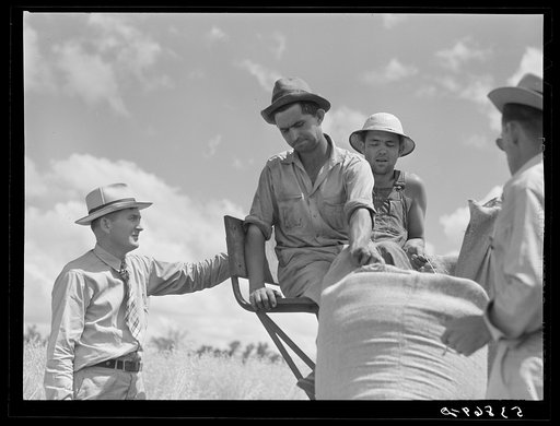 Untitled photo, possibly related to: Willie R. Roberts, parish supervisor, talking with Otis Coody about his cooperative combine purchased through FSA (Farm Security Administration) to harvest crops of low income farmers and FSA borrowers in West Carroll Parish, Louisiana