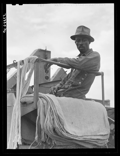 Untitled photo, possibly related to: Harvesting oats with co-op combine purchased by Otis Coody through FSA (Farm Security Administration) community co-op service loan. West Carroll Parish, Louisiana