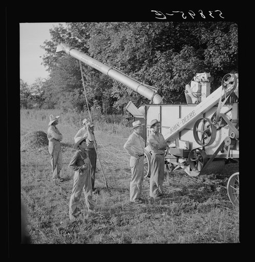 Untitled photo, possibly related to: Cooperative oat thrasher, purchased by E.H. Lester through FSA (Farm Security Administration) community co-op service loan. West Carroll Parish, Louisiana